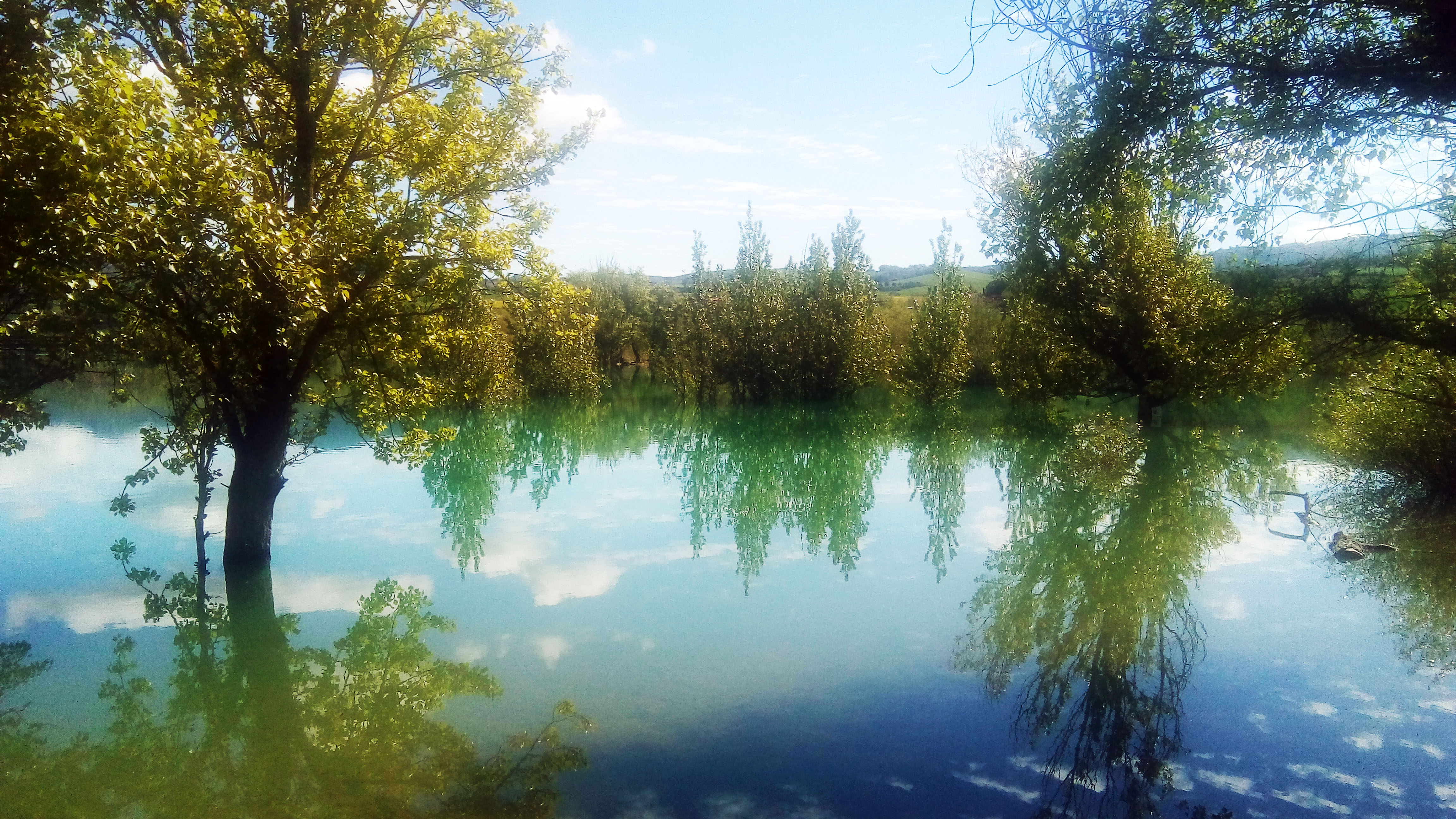 Imagenes Lerate imagenes-lerate