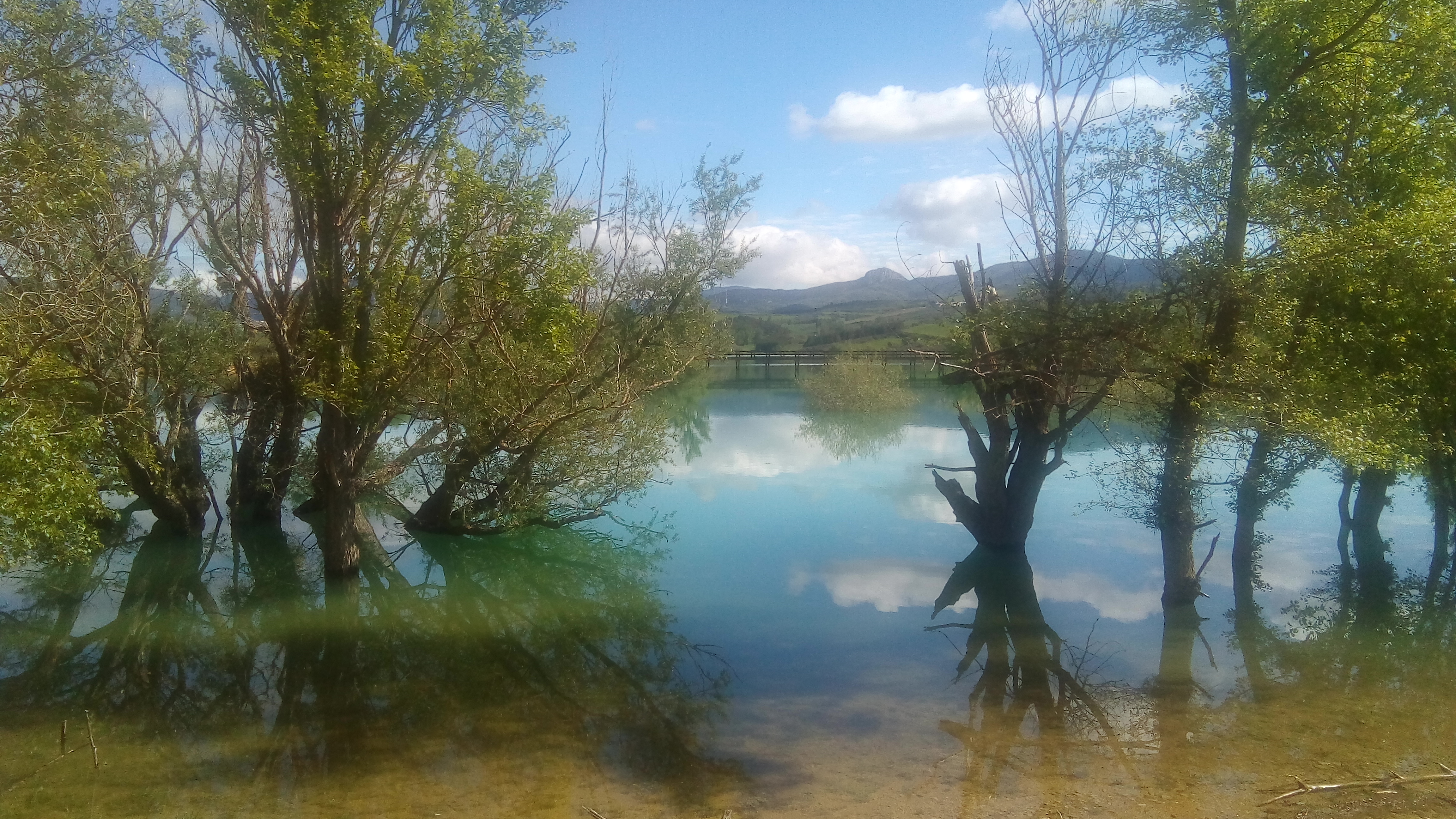 Imagenes Lerate imagenes-lerate