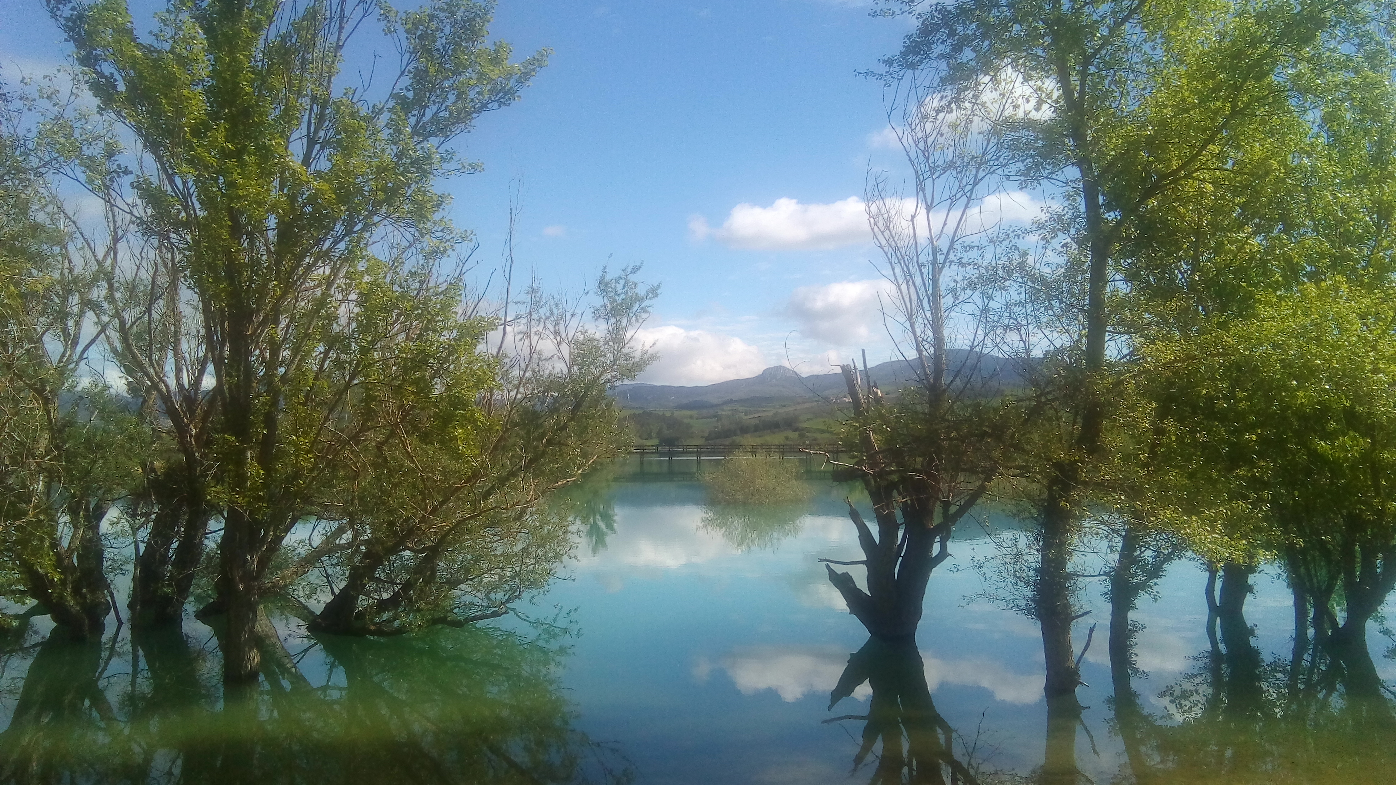 Imagenes Lerate imagenes-lerate