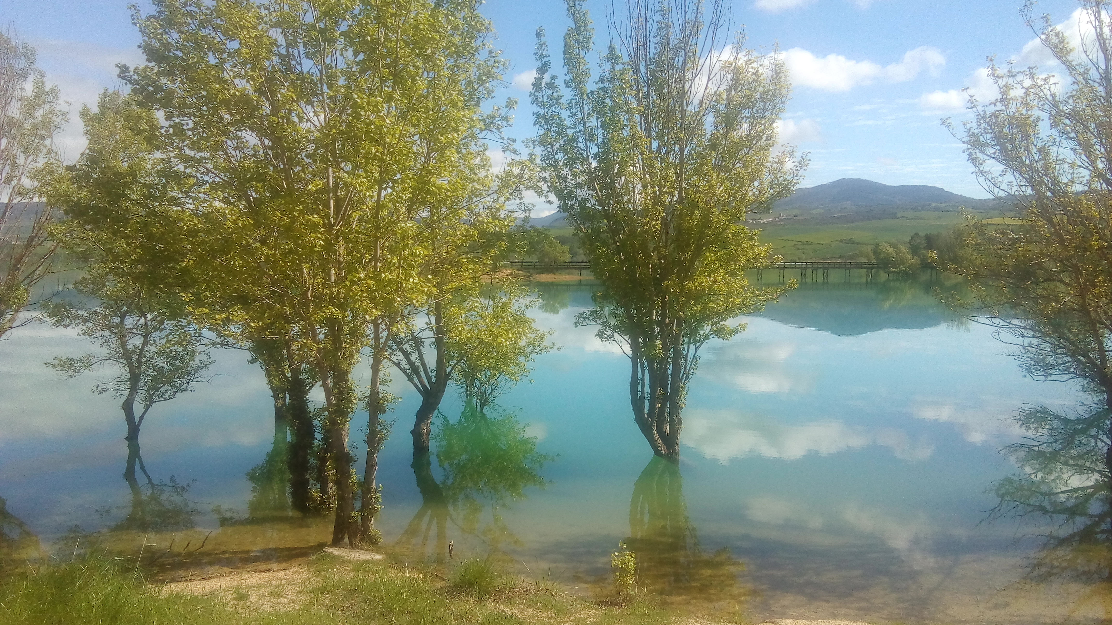 Imagenes Lerate imagenes-lerate
