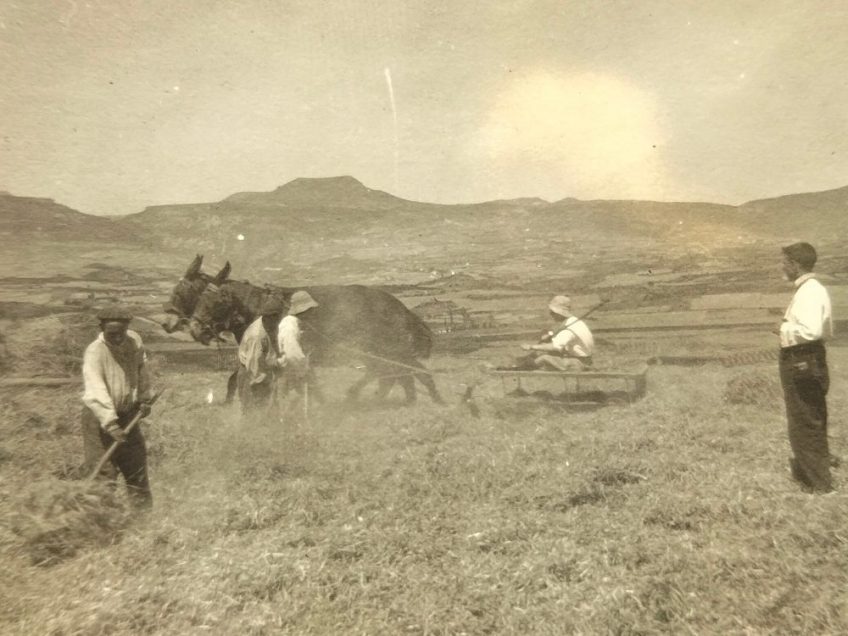 Trillando en una era de lerate con artesa